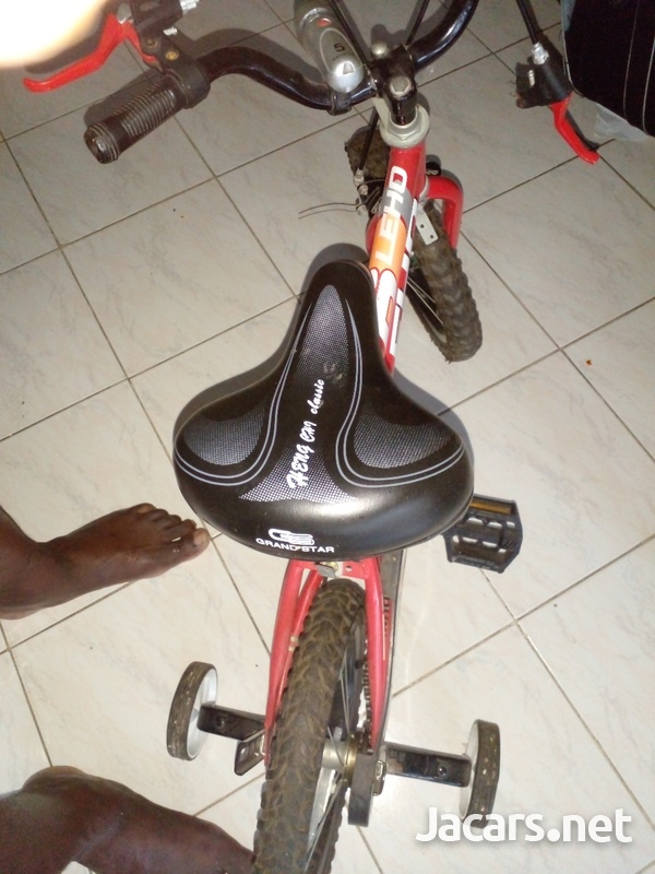 Bicycle-1