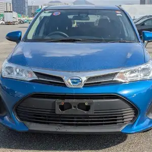 Toyota Fielder