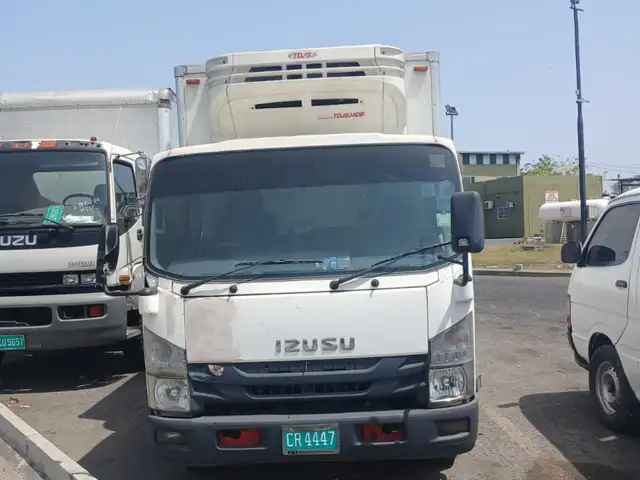 2015 ISUZU ELF, Kingston