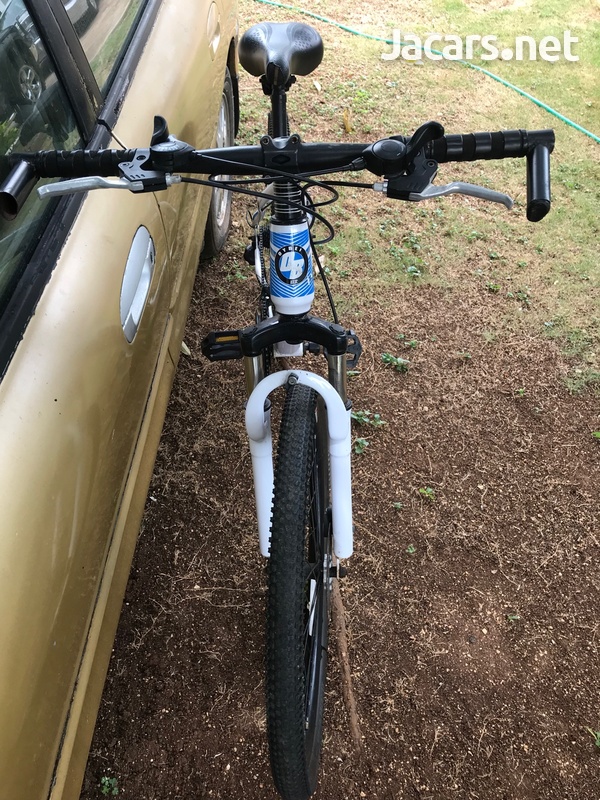 Mountain Bike-1