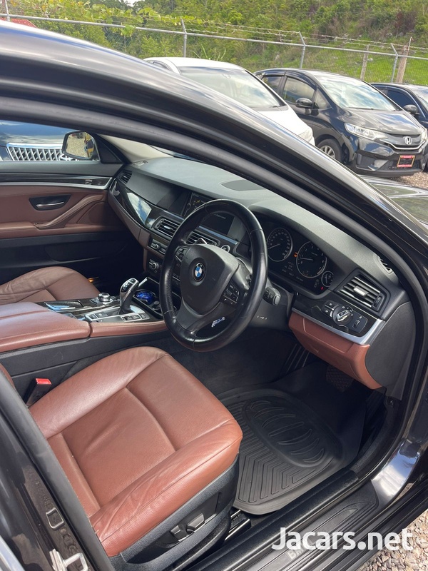 BMW 5-Series 2,0L 2012-9
