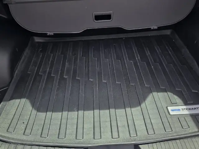 Haval H6 2,0L 2024, Kingston - 11