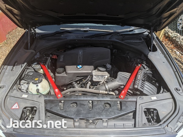 BMW 5-Series 2,0L 2013-10