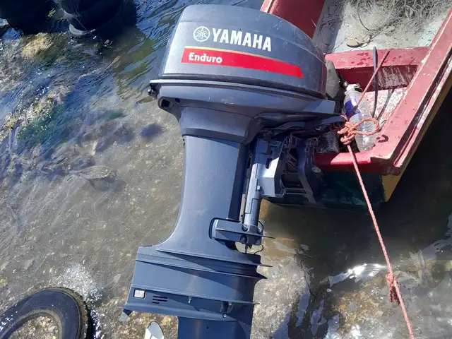 Boat 28 feet and 40HP engine, Saint Elizabeth