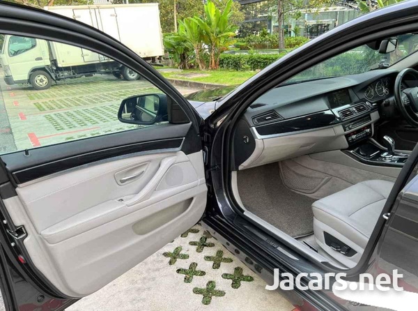 BMW 5-Series 2,0L 2013-14