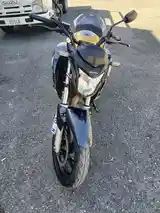 HONDA MOTOR BIKE, Kingston