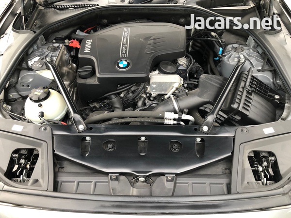 BMW 5-Series 2,0L 2016-9