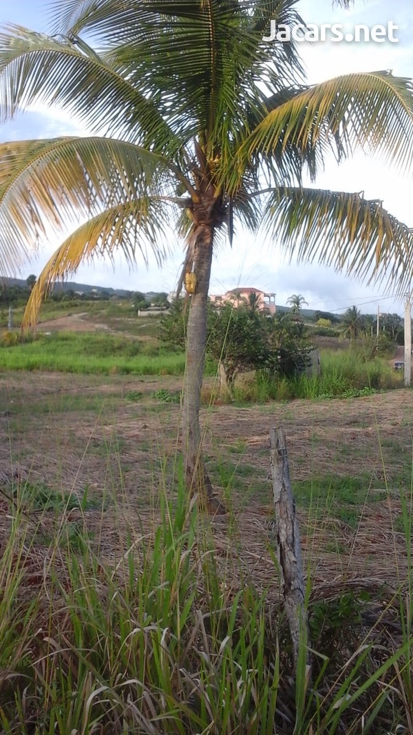 1/2 Acres Of Seeing The Sea-1