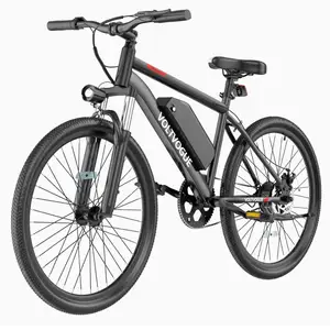Electric Bike, Saint James