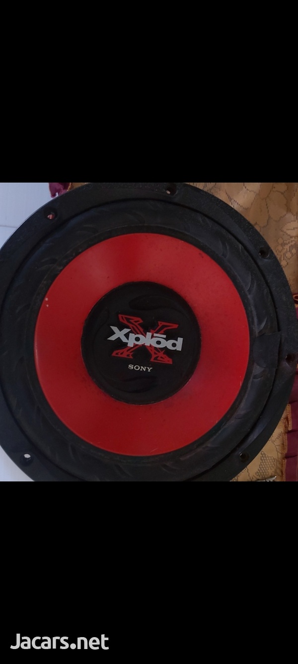 Bass speaker-1