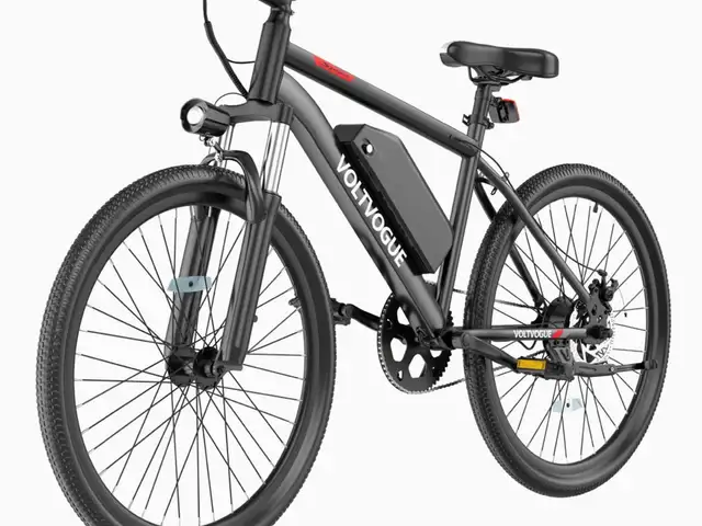 Electric Bike, Saint James