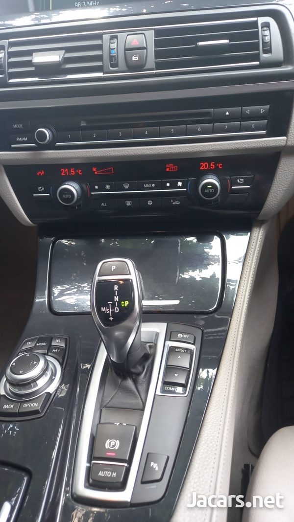 BMW 5-Series 2,0L 2012-10
