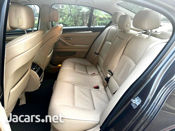 BMW 5-Series 2,0L 2013-6