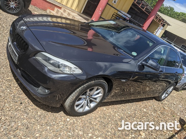 BMW 5-Series 2,0L 2013-2