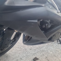Suzuki GXR 2010 Suzuki GXR 2010