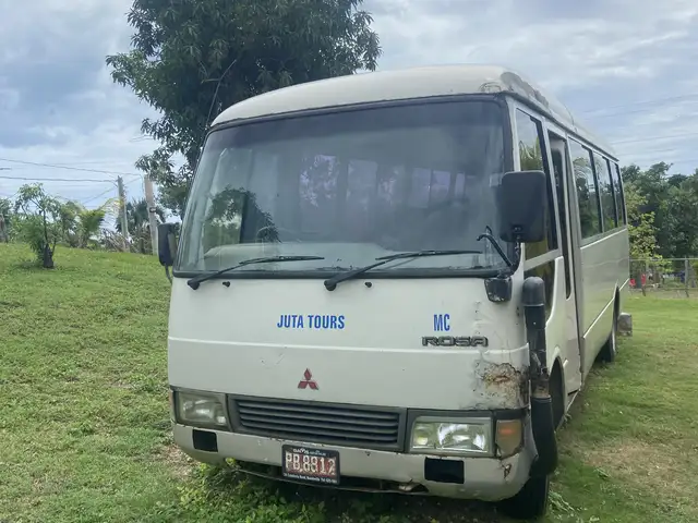 2004 Mitsubishi Rosa, Saint Elizabeth
