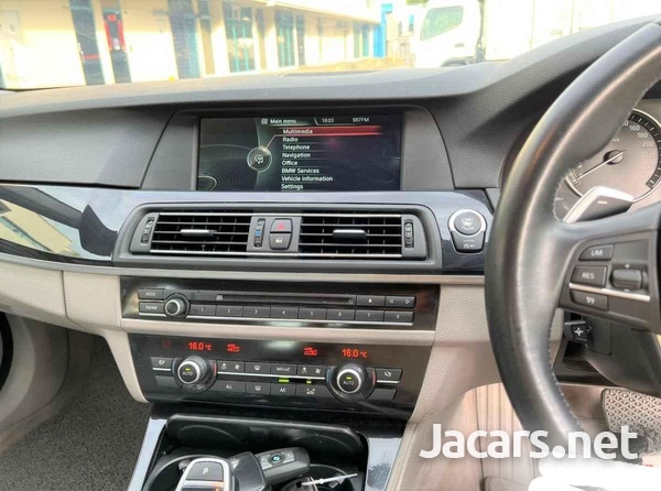 BMW 5-Series 2,0L 2013-8