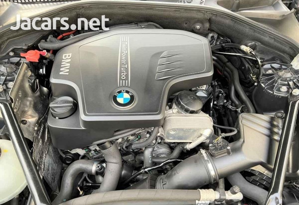 BMW 5-Series 2,0L 2013-4