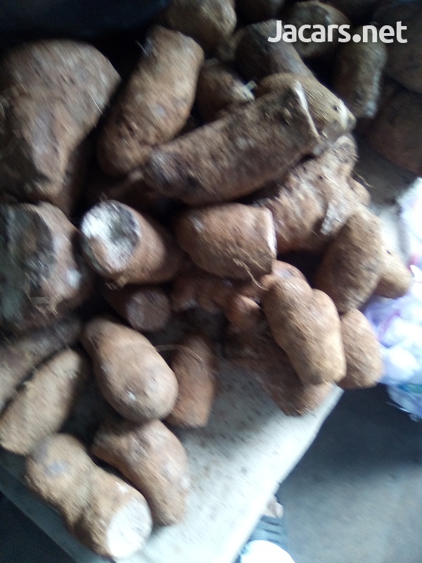 YAMS
