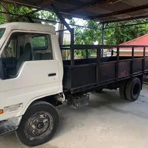 Toyota Dyna, Saint Ann