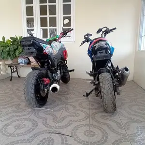2019 Blue Zamco Mini 230cc, Clarendon
