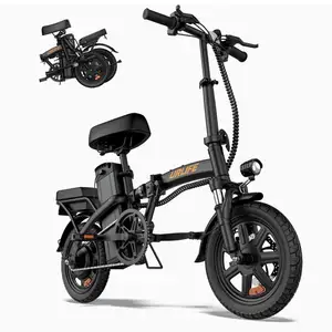 Electric Bike, Saint James