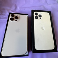 iPhone 13 Pro Max iPhone 13 Pro Max