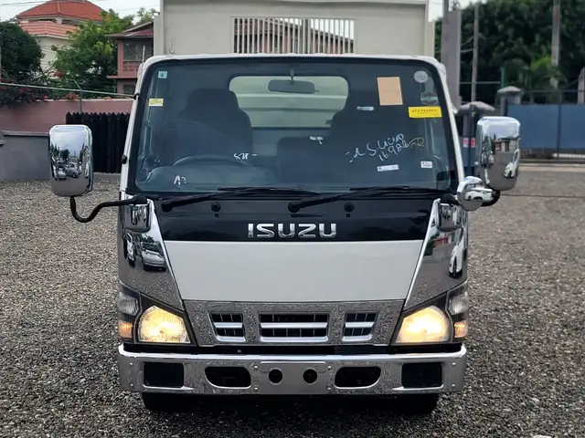 Isuzu Elf Truck 4,8L 2006, Saint Mary - 3